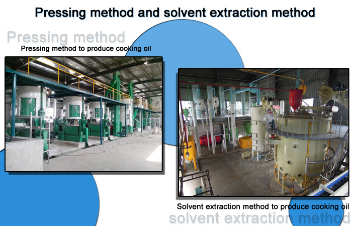 direct pressing and solvent extraction
