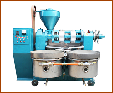 Oil press machine with filter