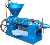 Screw oil press machine