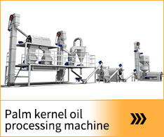 Palm kernel oil
                        processing machine
