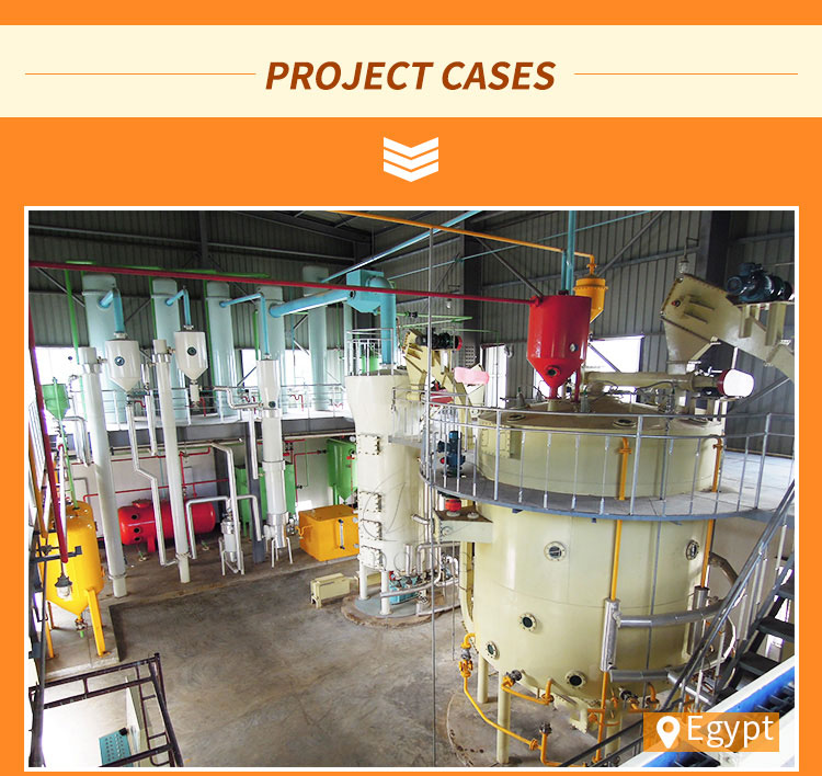 project case