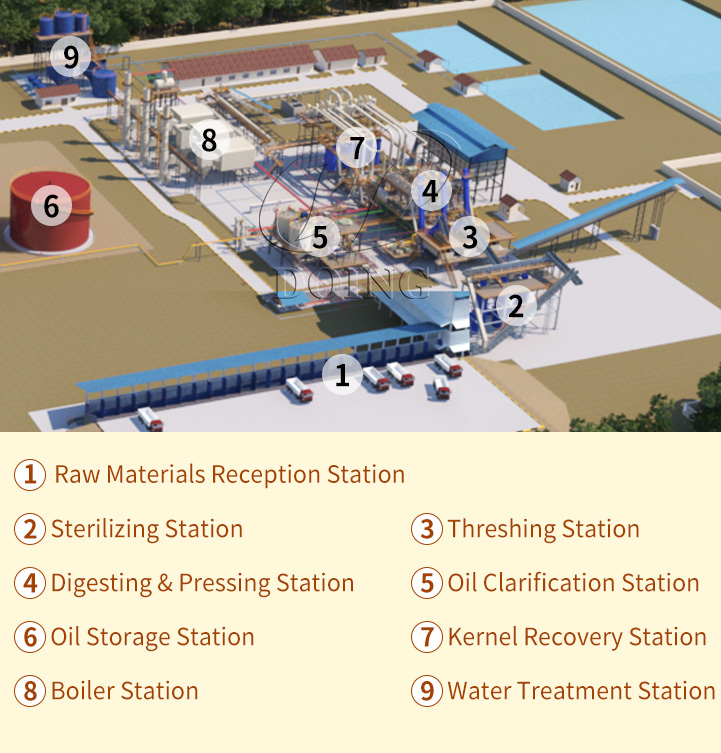 Medium and Large Scale Palm Oil Press Line