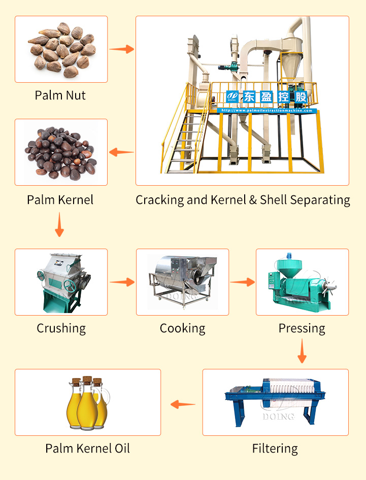 What machines are needed to extract palm kernel oil into vegetable  oil?_Cooking oil machine FAQ