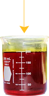 Palm Oil