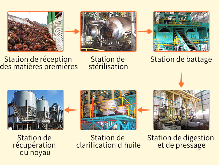 Medium and Large Scale Palm Oil Press Line