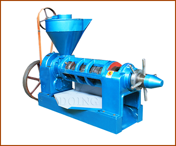 Screw oil press machine