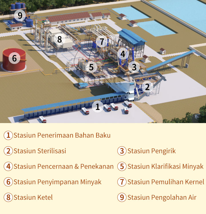 Medium and Large Scale Palm Oil Press Line