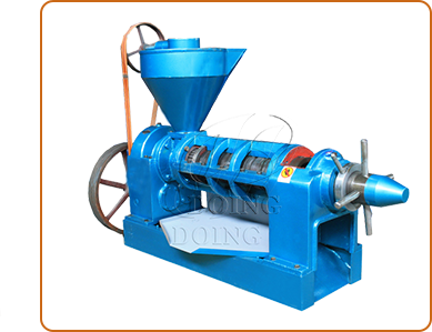 Screw Peanut Oil Press Machine