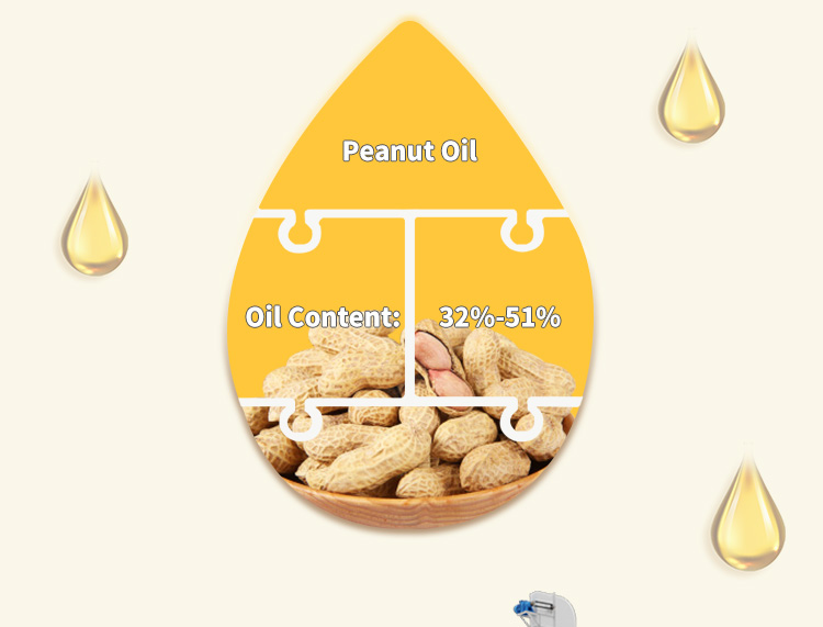 CROWN TYPE Cold Press Ground Nut Oil Extracting Machine, Capacity