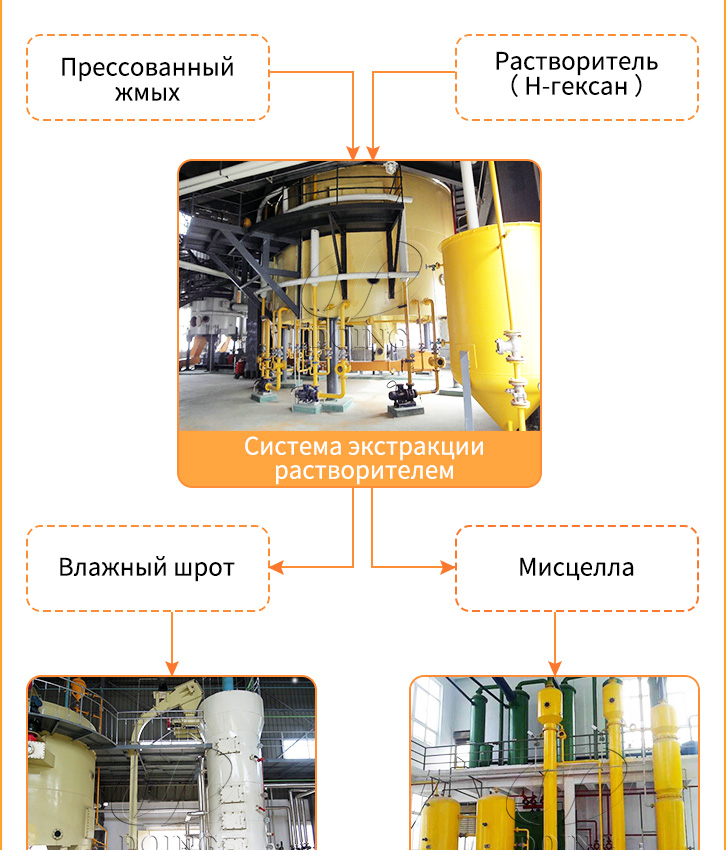 оборудование для производства растительного масла