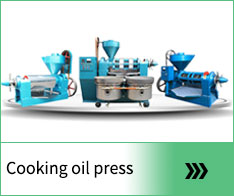 Cooking oil press
