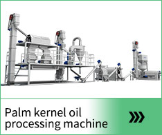 Palm kernel oil
                        processing machine