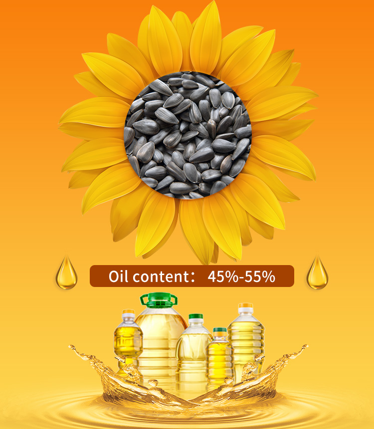 Professional sunflower oil processing machine manufacturer and supplier