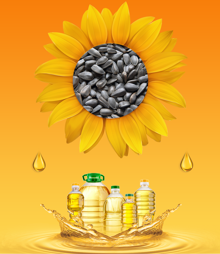 sunflower oil processing machine