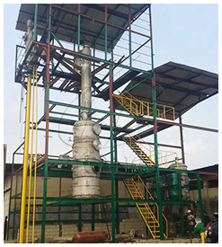 Sunflower oil project cases