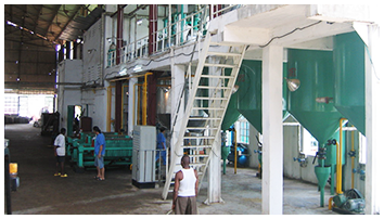 Sunflower oil project cases