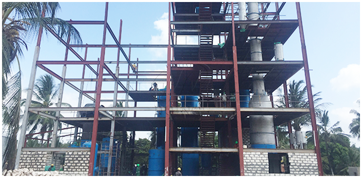 Sunflower oil project cases