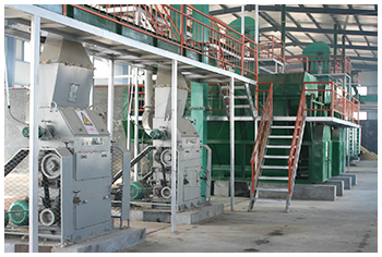 Sunflower oil project cases