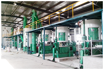 Sunflower oil project cases