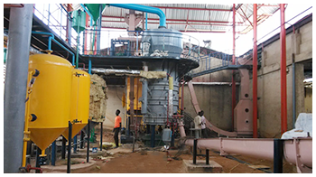 Sunflower oil project cases