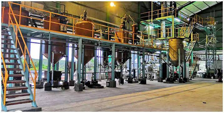 Sunflower oil project cases