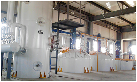 Sunflower oil project cases