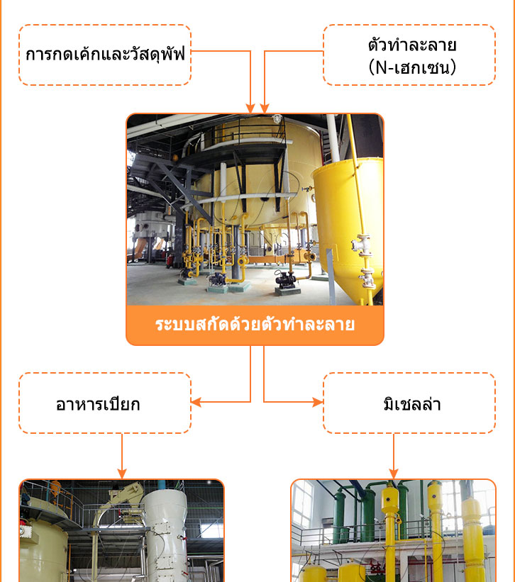 ขั้นตอนการทำงาน