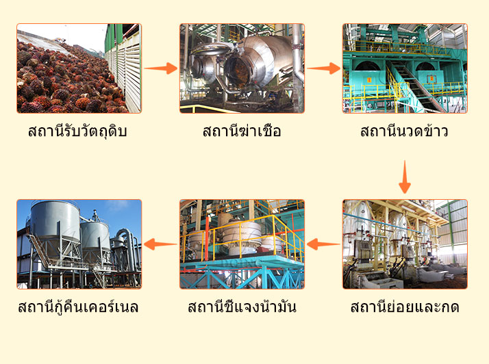 Medium and Large Scale Palm Oil Press Line