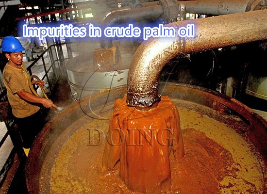 Những tạp chất nào có trong dầu thực vật thô và làm thế nào để loại bỏ?