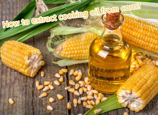 How to extract cooking oil from corn?