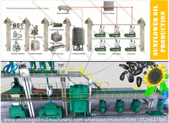 How to get the plant design for sunflower oil production?_Blog
