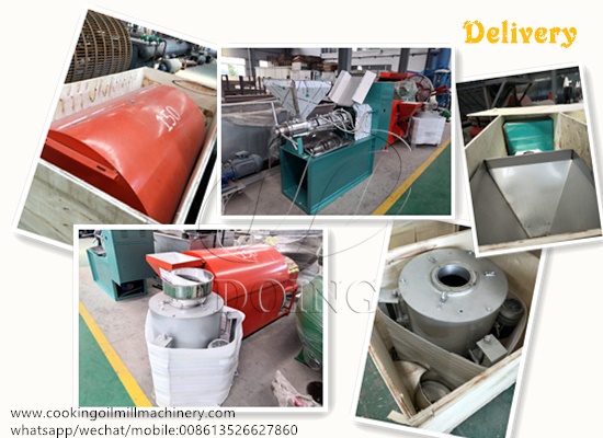 يتم شحن آلة استخراج زيت الفول السوداني 2TPD إلى نيجيريا