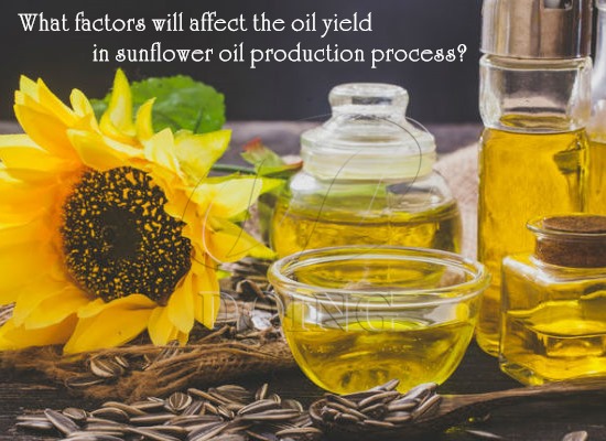 What factors will affect the oil yield in sunflower oil production process?