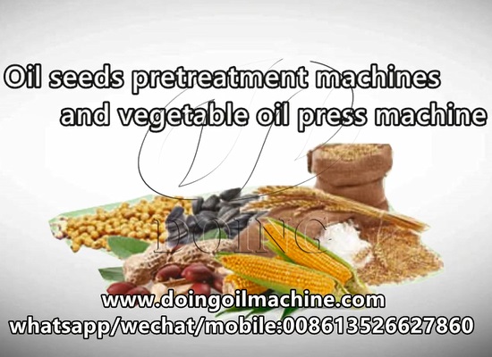 Cooking oil press production line, machine and project short video