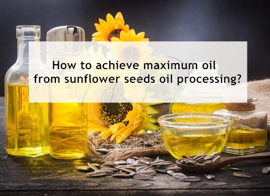 How to achieve maximum oil from sunflower seeds oil processing?