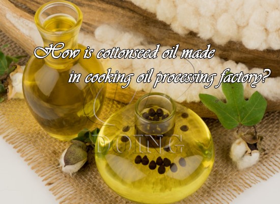 How is cottonseed oil made in cooking oil processing factory?