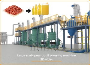 Peanut oil processing plant working flow 3D video
