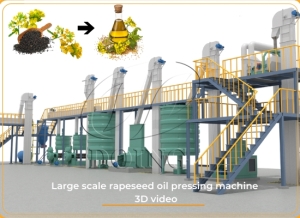 Rapeseed oil processing plant working flow 3D video