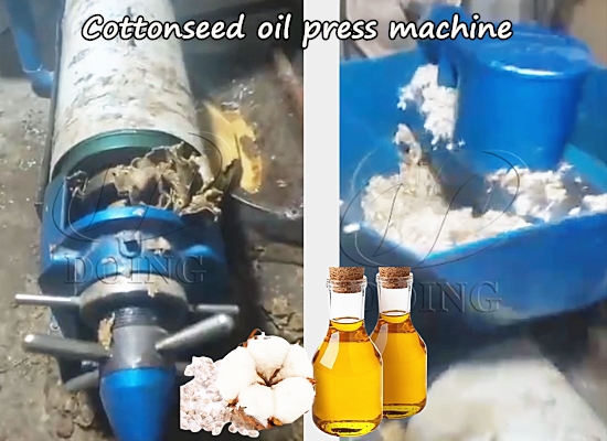 Small scale cottonseed single screw oil expeller machine feedback video from customers in Tajikistan