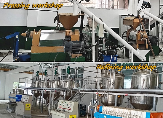 Small scale cooking oil production line running video
