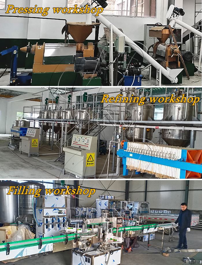 Photos of different cooking oil production workshops