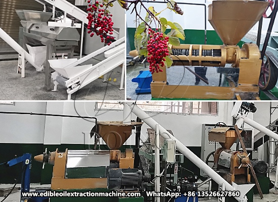 Complete small scale edible oil production line project in China