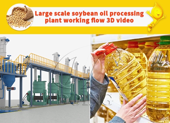 Soybean oil processing plant/soybean oil making machine 3D video