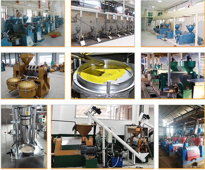 Cooking oil press machine project photos