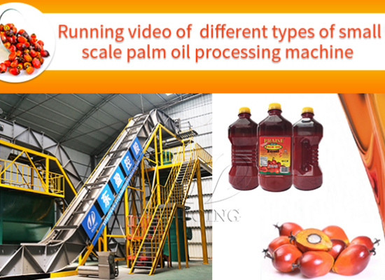 Running video of different types of small scale palm oil processing equipment