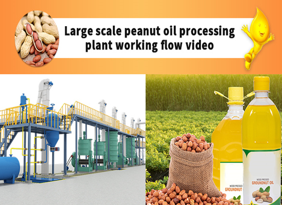 Large scale peanut oil mill plant video