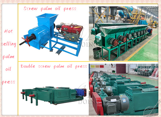 Hot selling palm oil press running video