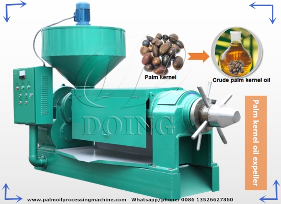 Palm kernel oil press detail display and idling video