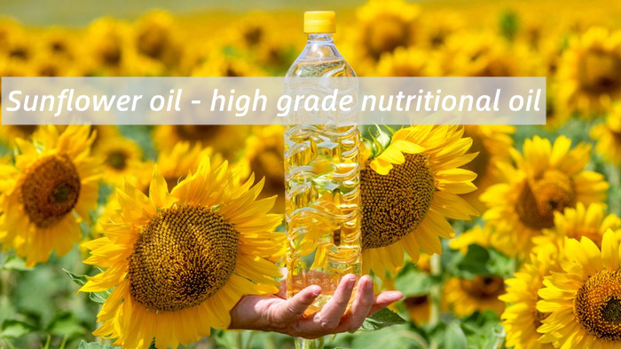 Sunflower oil market has broad prospects