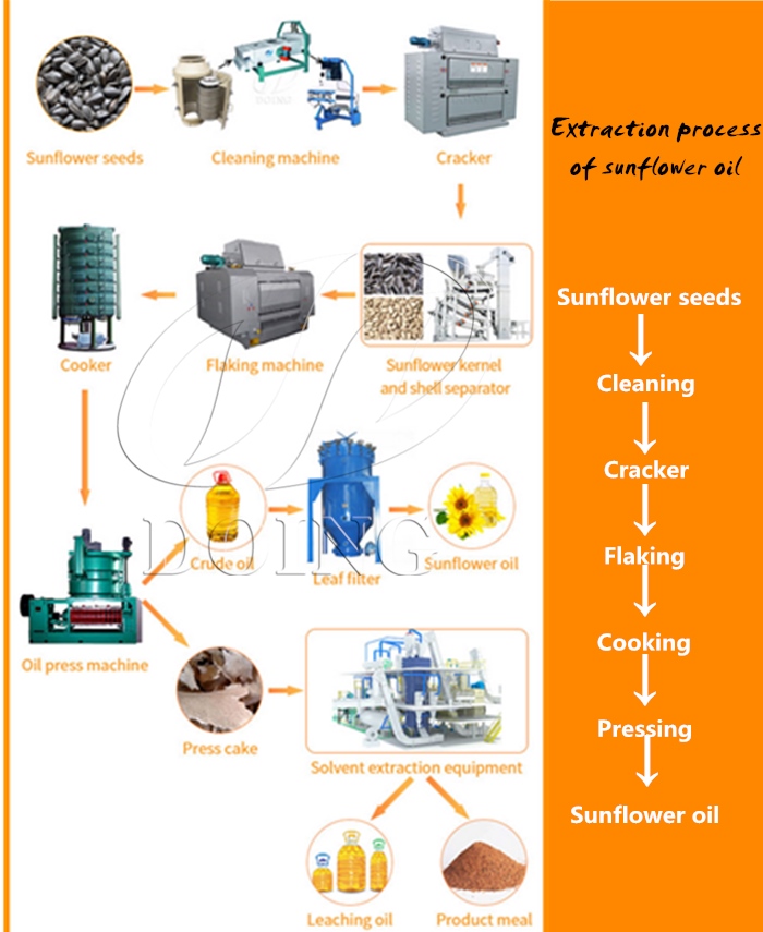 Large scale sunflower oil production line